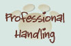TaliHO ACDs Handling and Junior Handling