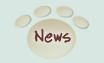 TaliHO News