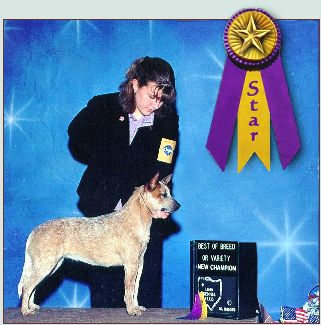TaliHO Junior Handler