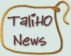 TaliHO Australian Cattle Dogs News