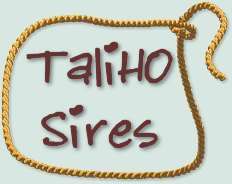 TaliHO Sires